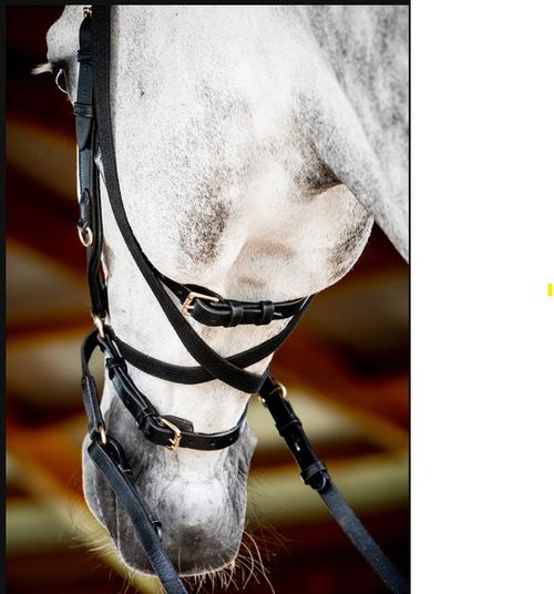 Horseware Micklem Multi Cross Over Strap - Black