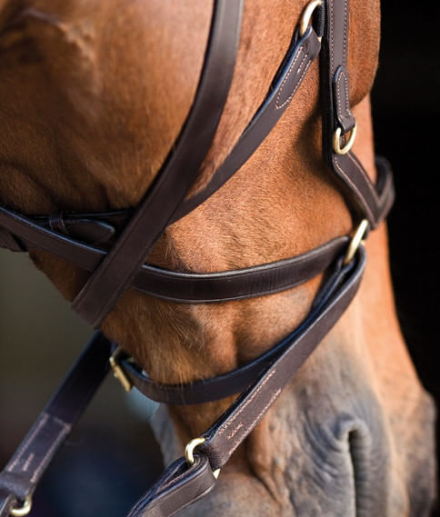 Horseware Micklem Multi Cross Over Strap - Brown