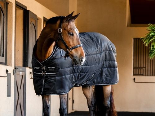 Amigo Ripstop Insulator Stable 350g - Black/Black/Silver