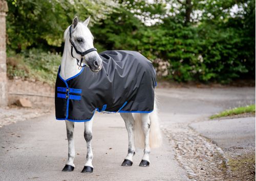 Amigo Ripstop 900D Pony Turnout 200g - Black/Classic Blue