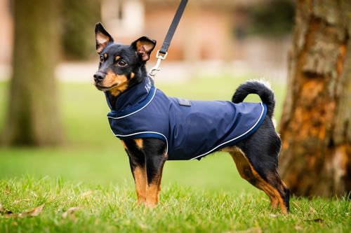 BARN BUSTER: Horseware Signature Dog Rain Coat - Medium - Navy