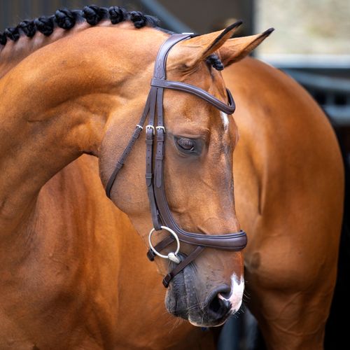 OVERSTOCK: Shires Velociti Lusso Ergonomic Curved Flash Bridle - Horse - Havana