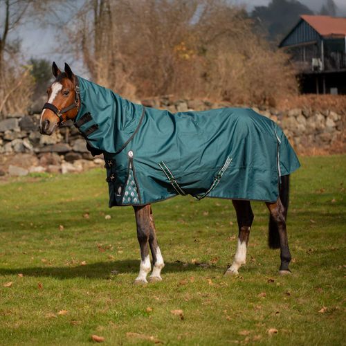 Equinavia Arktis Regular Neck Mid Weight Turnout Blanket 200g - Deep Green