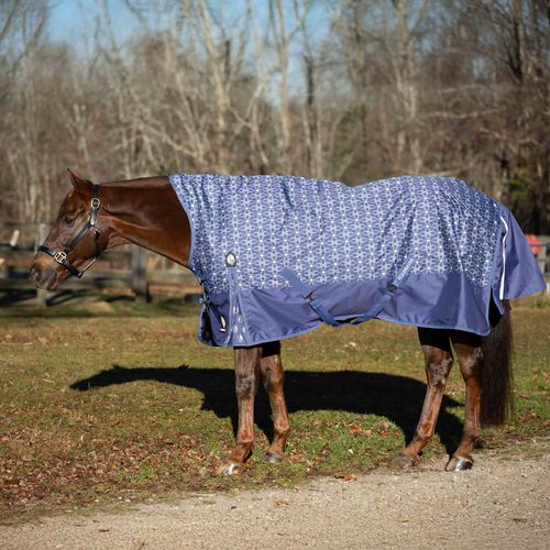 Equinavia Arktis Extended Neck Light Weight Turnout Blanket 100g - Skipper Blue