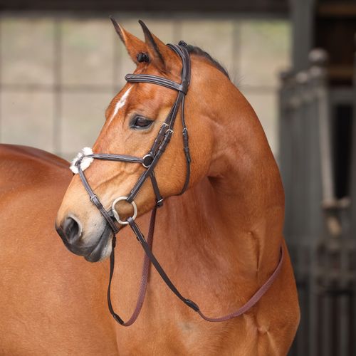 SALE RACK: Shires Avignon Woodside Bridle - Horse - Havana