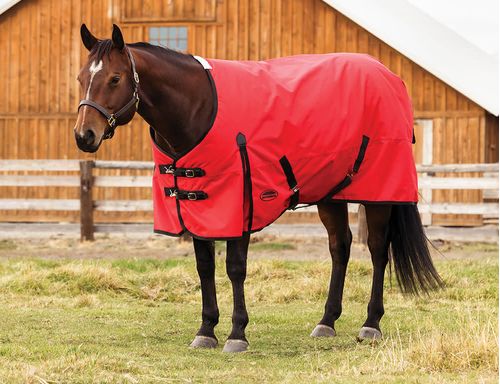 Weatherbeeta Comfitec Original Standard Neck Medium - Red/Black