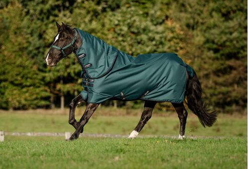 Amigo Ripstop 900D Plus Pony Turnout 0g - Dynasty Green/Navy/Silver