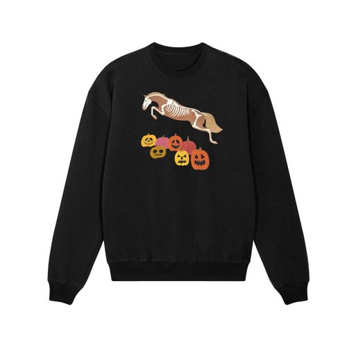 Dapplebay Women's Halloween Sweatshirt - Pumpkin Jumper