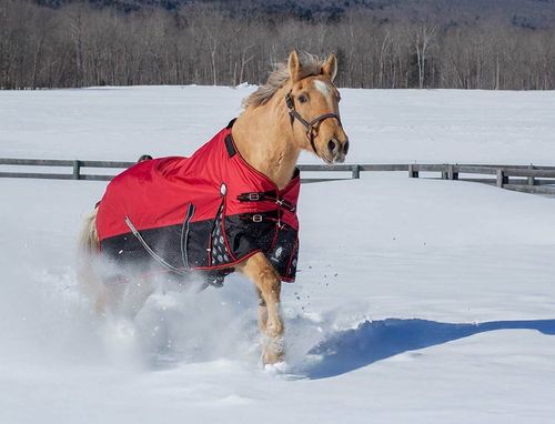 Equinavia Norse Mid Weight Turnout Blanket 200g - Equestrian Red