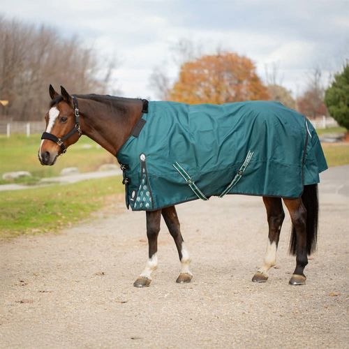 Equinavia Arktis Regular Neck Light Weight Turnout Blanket 100g - Deep Green