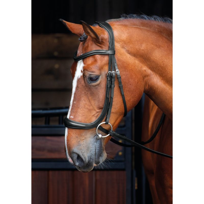 Shires Velociti Rapida Bridle