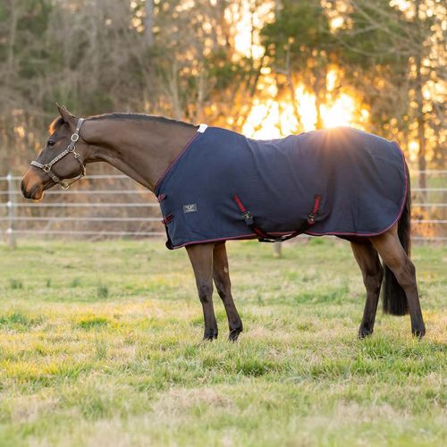 TuffRider Waffle Weave Cooler Standard Neck - Navy