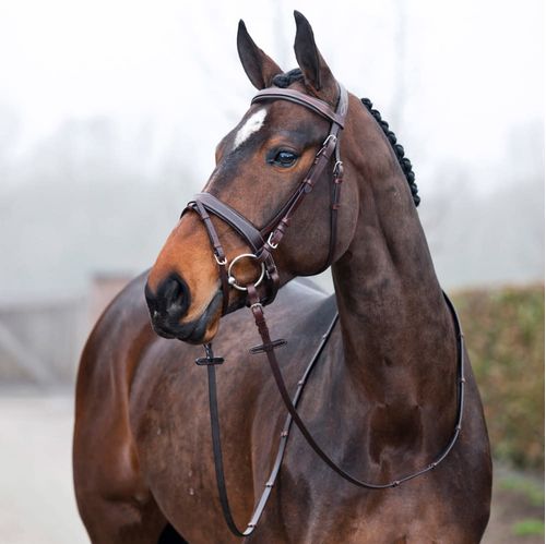 OVERSTOCK: Horze Venice Soft Padded Bridle w/reins - Horse - Dark Brown