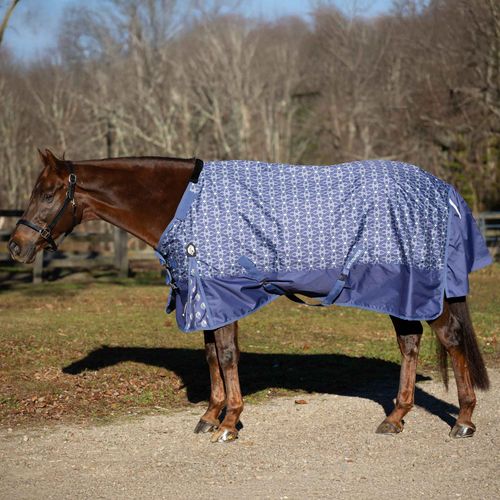 Equinavia Arktis Regular Neck Light Weight Turnout Blanket 100g - Skipper Blue