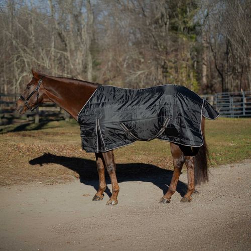 Equinavia Norse Gusseted Stable Blanket 100g - Black