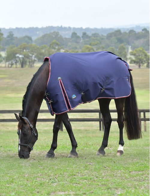 Weatherbeeta Comfitec Essential Turnout 0g - Navy/Burgundy