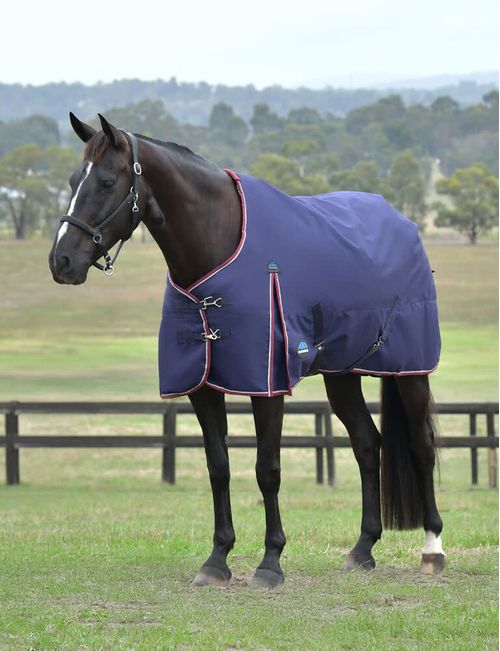 Weatherbeeta Comfitec Essential Turnout 220g - Navy/Burgundy