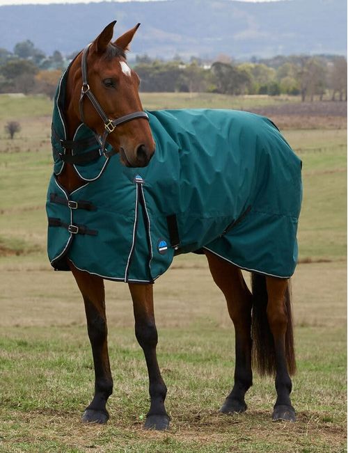 Weatherbeeta Comfitec Classic Turnout Combo 220g - Forest Green/Black