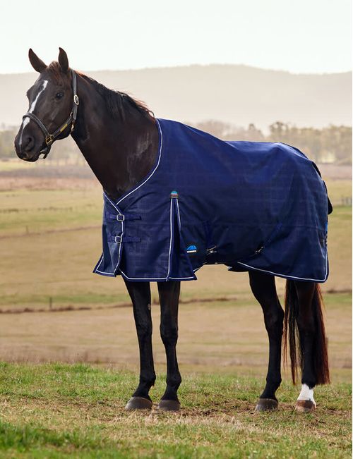 Weatherbeeta Comfitec Prelim Turnout 220g - Navy Embossed Plaid