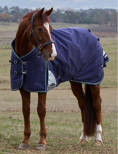 Weatherbeeta Comfitec Plus Dynamic Turnout 100g - Navy/Forest Green