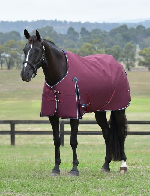 Weatherbeeta Comfitec Essential Turnout 220g - Burgundy/Navy