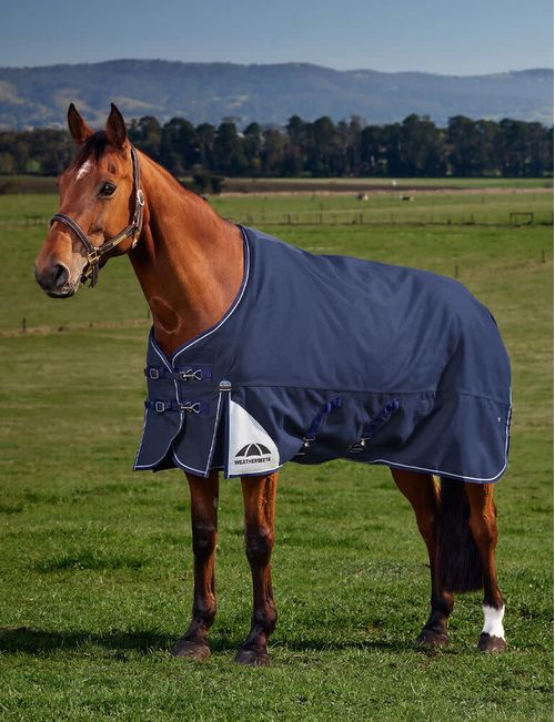 Weatherbeeta Comfitec Ultra Turnout Standard Neck 220g - Navy