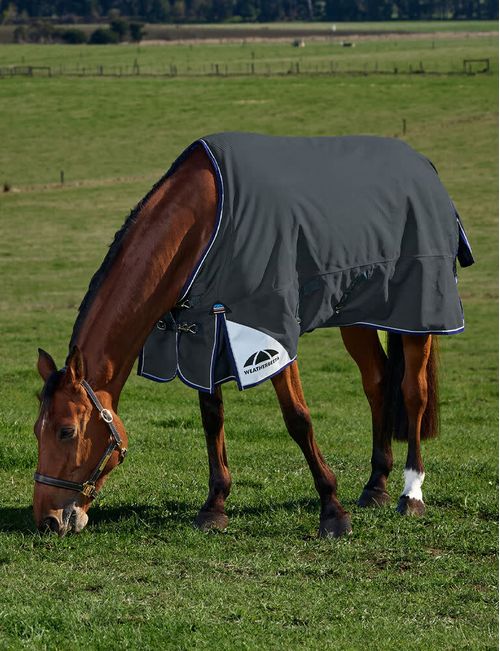 Weatherbeeta Comfitec Ultra Turnout Standard Neck 220g - Charcoal