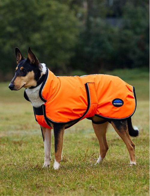 Weatherbeeta Comfitec Reflective 300D Deluxe Showerproof Dog Coat - Orange