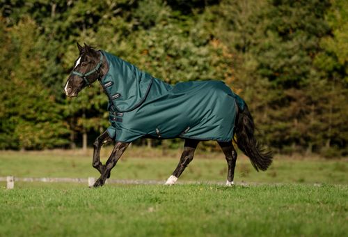 Amigo Ripstop 900D Plus Pony Turnout 100g - Dynasty Green/Navy/Silver