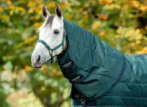 Amigo Ripstop Insulator Stable Hood 200g - Dynasty Green/Navy/Silver