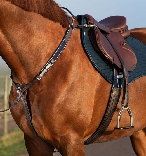 Rambo Micklem Breastplate w/Martingale - Brown