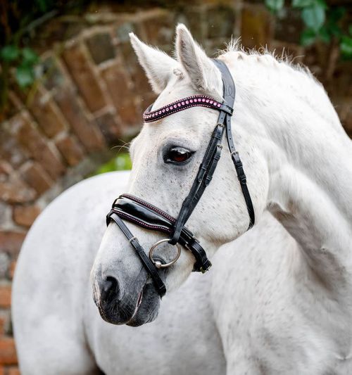 Horseware Pony Diamante Flash Bridle - Black/Pink
