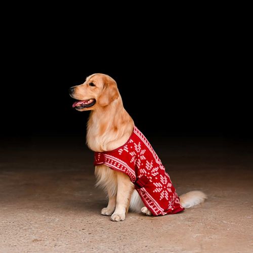 Horze Santa Dog Fleece Coat - Red