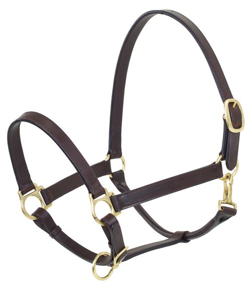BARN BUSTER: Camelot Stable Halter - Foal - Brown