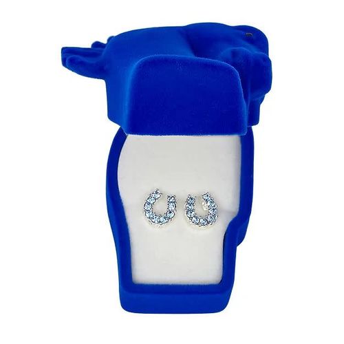 AWST Rhinestone Horseshoe Earrings  w/Horse Head Gift Box - Blue