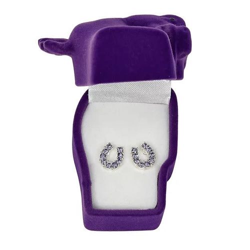AWST Rhinestone Horseshoe Earrings  w/Horse Head Gift Box - Purple