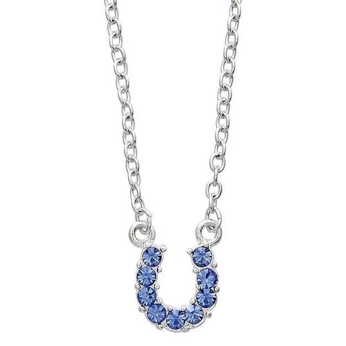 AWST Rhinestone Horseshoe Necklace w/Horse Head Gift Box - Blue