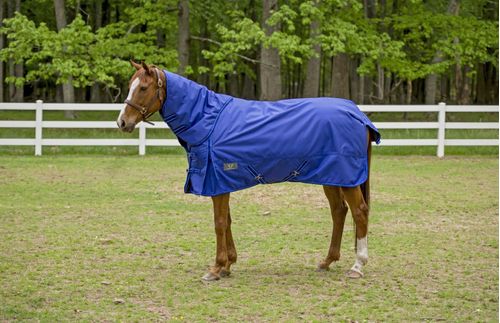 TuffRider 1680 D Super Comfy Turnout Heavy 350 Detachable Neck - Royal