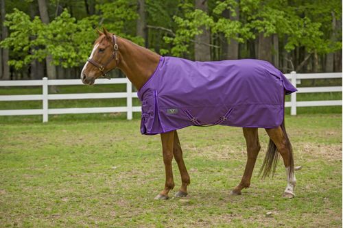 TuffRider 1680 D Super Comfy Turnout Medium 200 Standard Neck - Purple