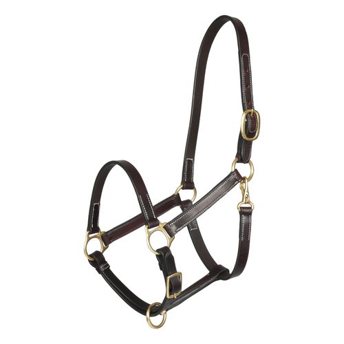 Henri de Rivel Pre Oiled Leather Halter w/Brass Snap - Australian Nut