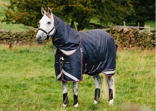LeMieux Kudos Turnout Blanket 100g - Navy