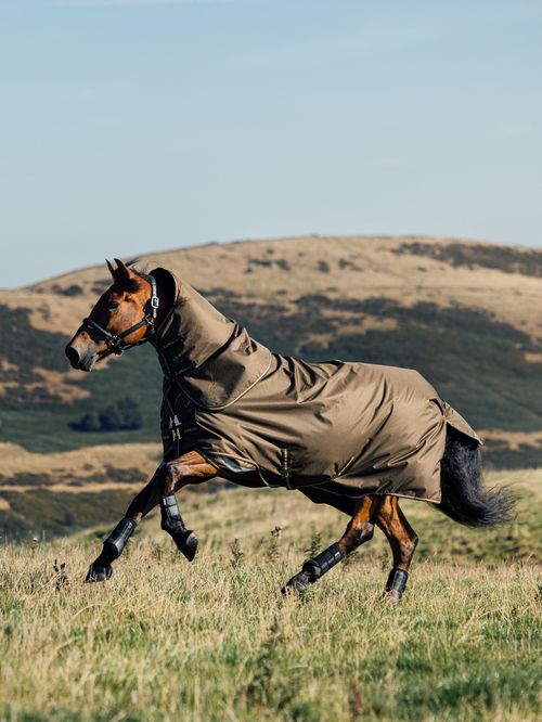 LeMieux Arika 600D Ripstop 0g Turnout Blanket - Alpine