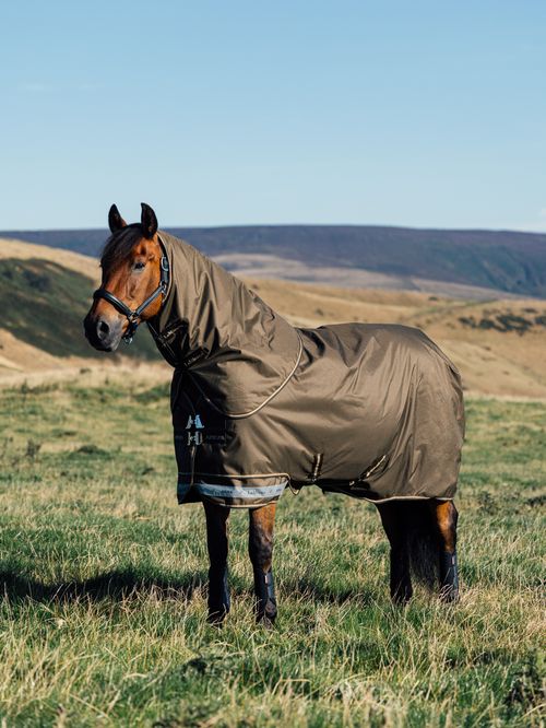 LeMieux Arika 600D Ripstop 50g Turnout Blanket - Alpine
