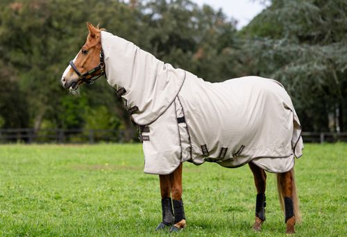 LeMieux Kudos Field Blanket - Stone