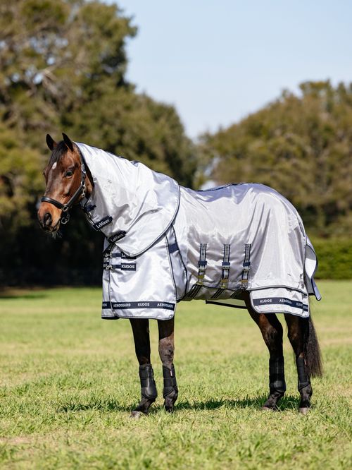 LeMieux Kudos AeroGuard Fly Rug - Silver