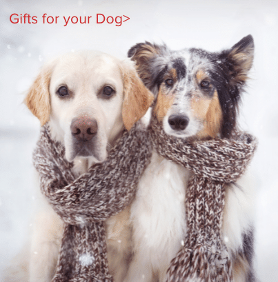 Gifts for your Dog