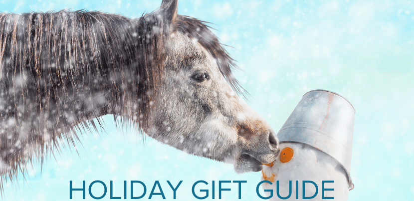 Equishopper Holiday Gift Guide 