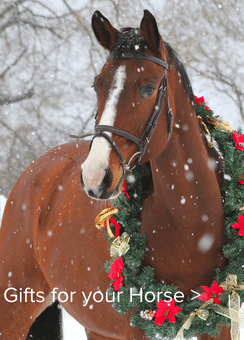 Gifts for your Horse