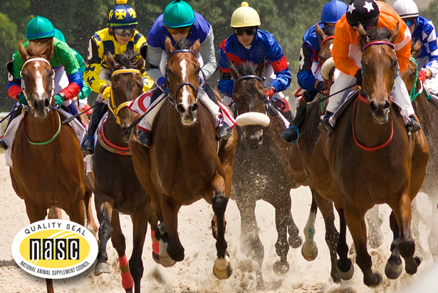 GLC Direct Hoof & Bone for Horses GLC Direct Hoof & Bone for Horses