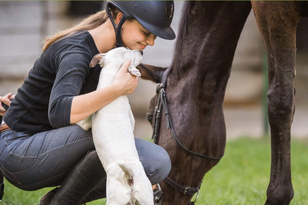 Kawell Natural Products for Horses & Pets Kawell Natural Products for Horses & Pets